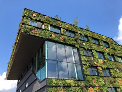 Construcción moderna de un edificio con jardín vertical