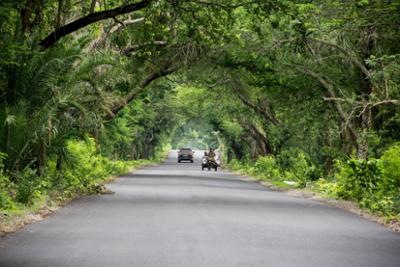 A road with a grove of trees and an old sidecar driving with three persons