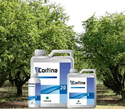 CORTINA WITH EOSOL TECHNOLOGY: reinventing Prothioconazole