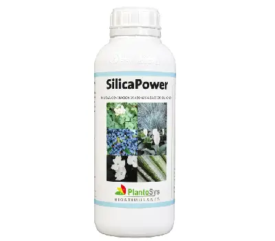 SilicaPower