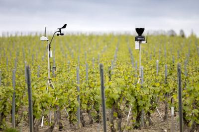 SENCROP system in a field