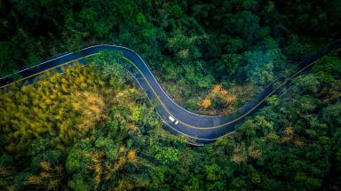 Car on a road in the forest