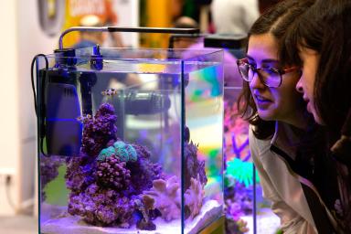 two girls looking at some fish at the fair