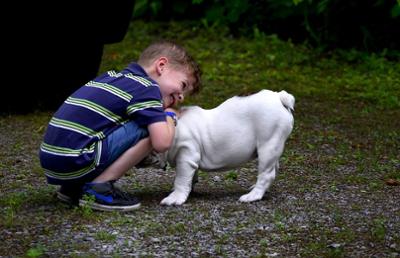 Imagen de un niño jugando con un perro