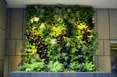 experiencia Sofisticado Deportista Cómo crear tu propio jardín vertical artificial casero | IFEMA MADRID