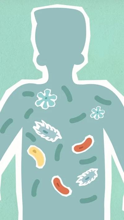 Alimentos que debes incluir en tu dieta para proteger la microbiota