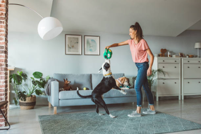 Chica jugando con su perro en su casa