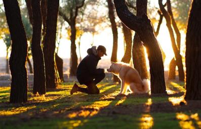 dueño con su mascota en el bosque