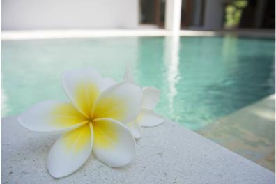 Flor en la piscina