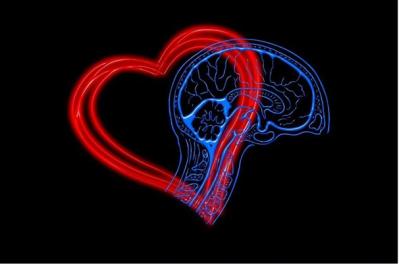 imagen de cerebro junto con un corazon