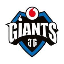 Vodafone giants