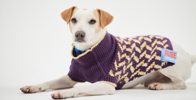 pet dog with sweater, RUBEARTH design pet garments