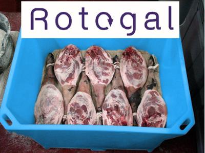 ROTOGAL