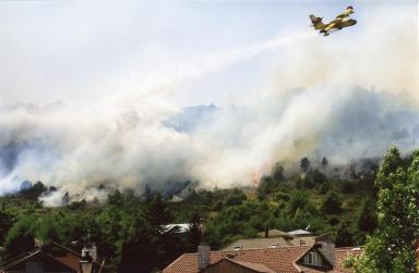 A light aircraft working to extinguish a fire in an urban forest environment.