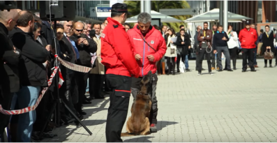 Imagen de exhibición ,  Unidad Canina, Ertzaintza  SICUR